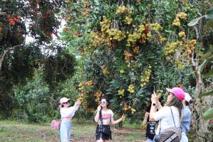 Bám sát mục tiêu nâng chất đời sống nông dân