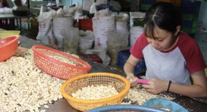 Triển khai các giải pháp khai thác nguồn thu ngân sách