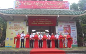 Người dân và du khách vui Xuân đón Tết vui tươi, an toàn