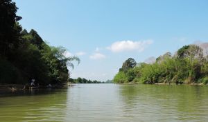 ​Đồng Nai giữ được 171,3 ngàn ha đất lâm nghiệp