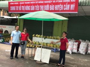 Giải cứu cho trái bưởi huyện Cẩm Mỹ