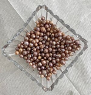 Nuôi ngọc trai trên vùng đất Phú Điền