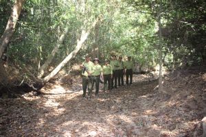 Giữ rừng mùa khô