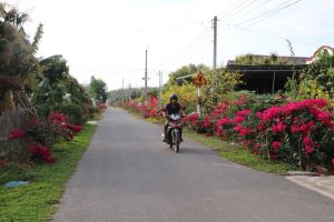 Làng cách mạng thay áo mới