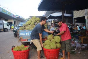 Xây dựng mạng lưới chợ nông thôn
