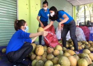 Sức trẻ tình nguyện