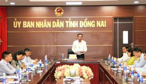 Các tổ chức phi chính phủ nước ngoài hỗ trợ 220 triệu USD cho các dự án an sinh xã hội