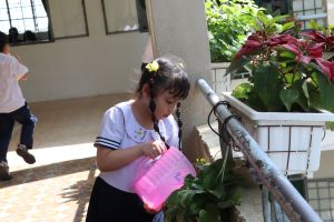 Để phong trào xanh - sạch - đẹp đi vào thực chất