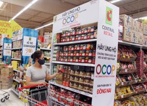 Phấn đấu hỗ trợ trên 50% chủ thể OCOP có website quảng bá thương hiệu