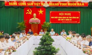 Hội nghị Ban chấp hành Đảng bộ tỉnh lần thứ 3, khóa XI: Nhiều chỉ tiêu phát triển kinh tế - xã hội đáng mừng