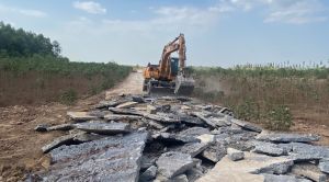 TP.Biên Hòa quản chặt phân lô, bán nền đất nông nghiệp