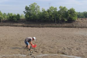 Hơn 110 hộ nhận khoán đất rừng nuôi thủy sản