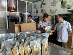 Thành tựu nổi bật xây dựng nông thôn mới kiểu mẫu