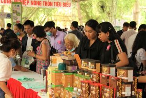 Hơn 350 đại biểu tham dự Chương trình họp mặt Xuân Hữu nghị 2021.