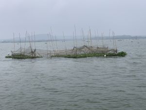 Cấm các nghề khai thác thủy sản tận diệt