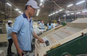 Ngành gỗ xuất khẩu tăng trưởng cao