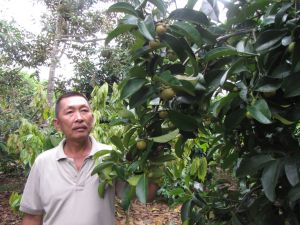 TP.Long Khánh còn nhiều diện tích đất nông nghiệp