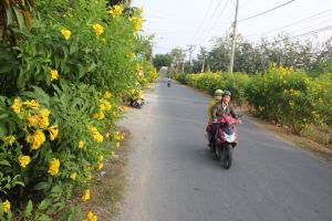 Cần 317 tỷ đồng đầu tư trồng cây xanh giai đoạn 2021-2025