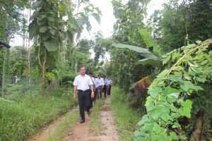 Nông thôn vẫn thiếu mảng xanh