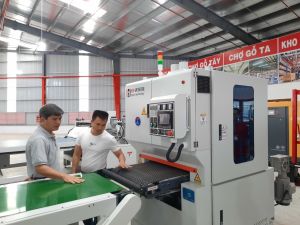 Tính toán để sản xuất gỗ bền vững