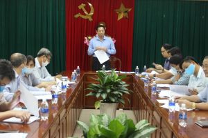 Chưa đủ cơ sở cấp lại giấy phép khai thác khoáng sản ở Đồi Chùa 1 và Đồi Mai