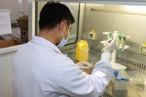Các bệnh viện có từ 300 giường bệnh trở lên phải có phòng xét nghiệm khẳng định SARS-CoV-2.