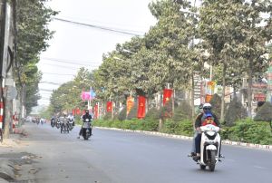 Giao thông thuận lợi trong ngày bầu cử