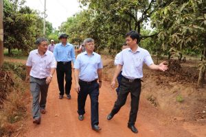 Sắp xếp, ổn định dân cư tại chỗ các ấp ven hồ Trị An