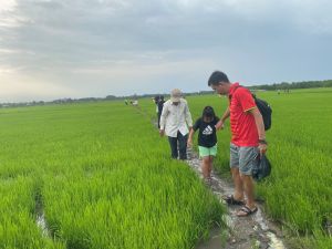 Khảo sát tiềm năng du lịch nông nghiệp tại H.Tân Phú