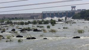 Sẽ thu 176 tỷ đồng từ dịch vụ môi trường rừng