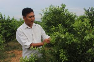 Huyện Vĩnh Cửu có diện tích đất lớn nhất tỉnh