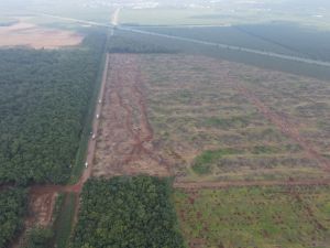 Tăng cường quản lý đất sân bay