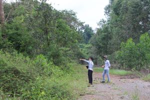 Nhiều dự án, đề án phát triển hệ sinh thái