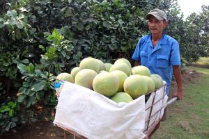 Đẩy mạnh dư nợ tín dụng đối với các lĩnh vực ưu tiên