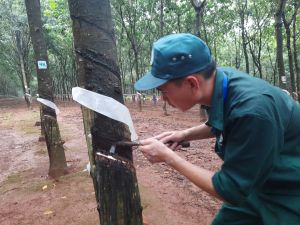 Doanh nghiệp mở rộng kênh tuyển dụng lao động