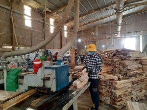 Cảnh báo rủi ro trong khai báo hải quan về các mặt hàng gỗ