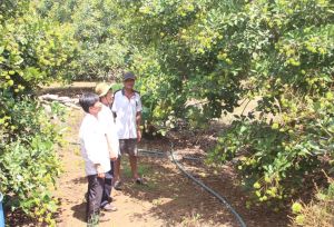 Vi phạm pháp luật về đất đai có thể bị thu hồi đất