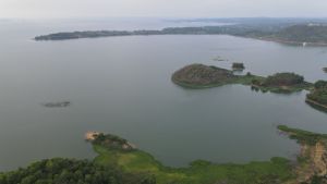 H.Thống Nhất đưa 139 ha đất rừng ra khỏi quy hoạch