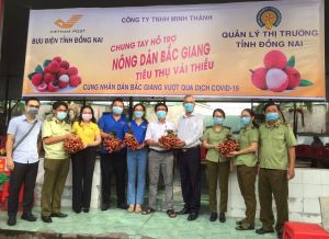 Triển khai chương trình hỗ trợ tiêu thụ vải thiều Bắc Giang
