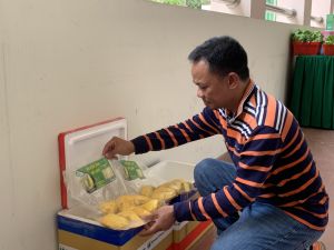 Đầu tư chế biến trái cây tươi