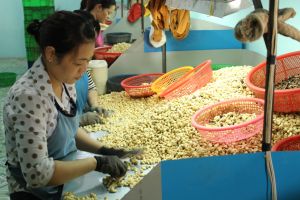 Rộng cửa chờ nhà đầu tư vào chế biến