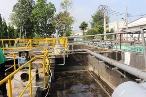 Đẩy mạnh phòng ngừa sự cố môi trường mùa mưa