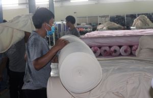 Huyện Nhơn Trạch có 515 dự án đầu tư