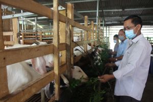 Ông Phong làm kinh tế giỏi, tích cực tham gia các hoạt động xã hội