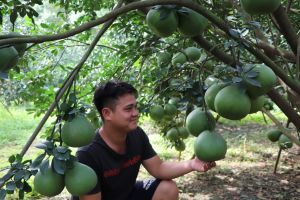 Nỗ lực hoàn thành mục tiêu nông thôn mới nâng cao