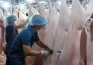 Nỗ lực khơi thông tiêu thụ nông sản trong mùa dịch