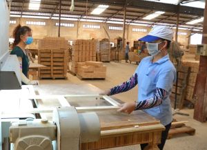 Kim ngạch xuất khẩu gỗ và sản phẩm gỗ vượt mốc 1 tỷ USD