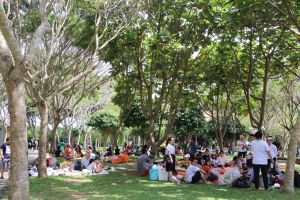 Một số lĩnh vực kinh doanh, sản xuất giảm doanh thu