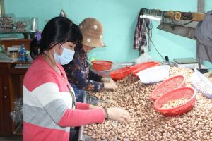 Huyện Cẩm Mỹ: Đẩy nhanh tiến độ triển khai các khu, cụm công nghiệp