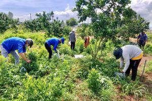 Thanh niên H.Cẩm Mỹ hỗ trợ người dân khu phong tỏa